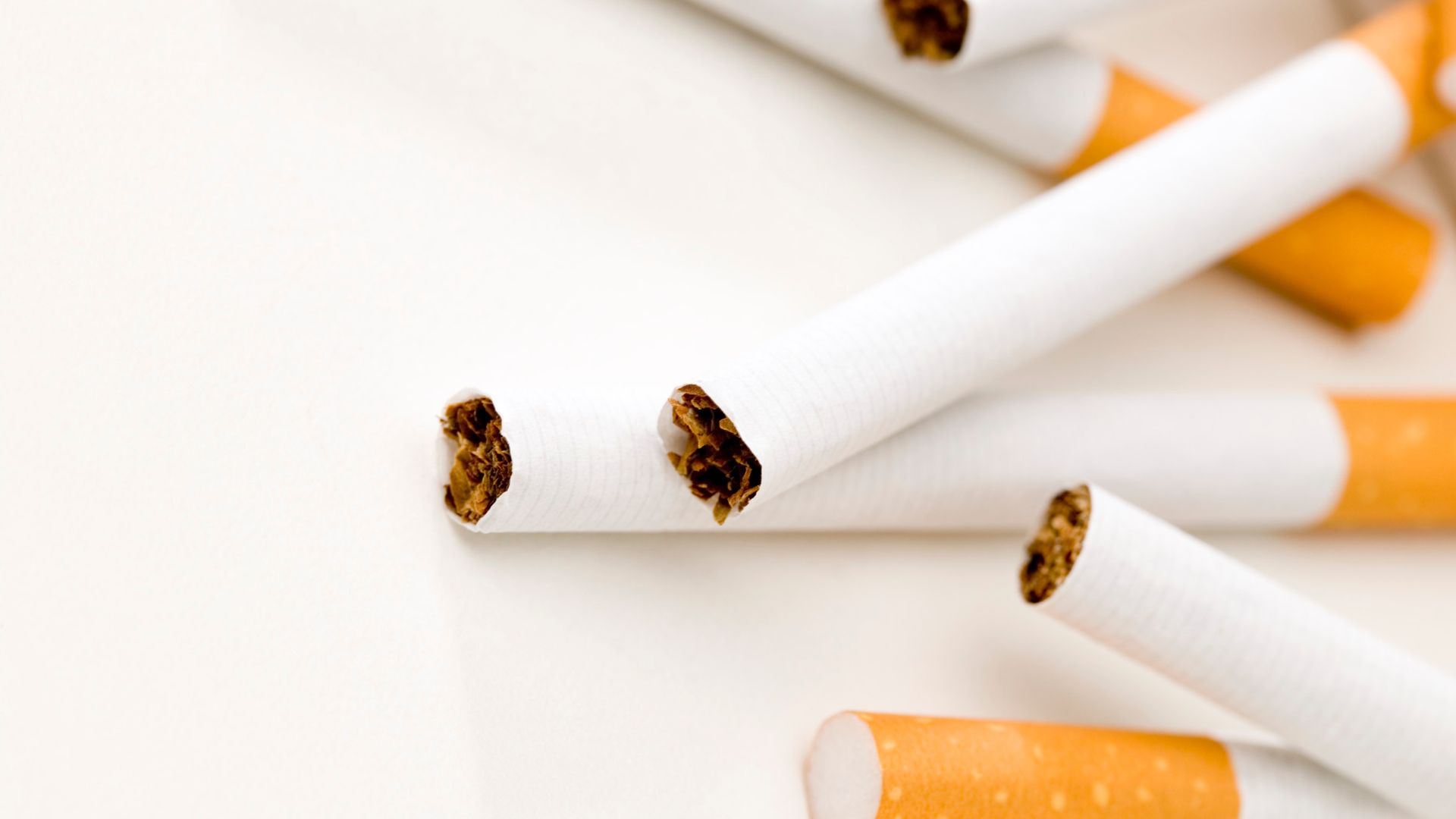 Wholesale Smokes Online