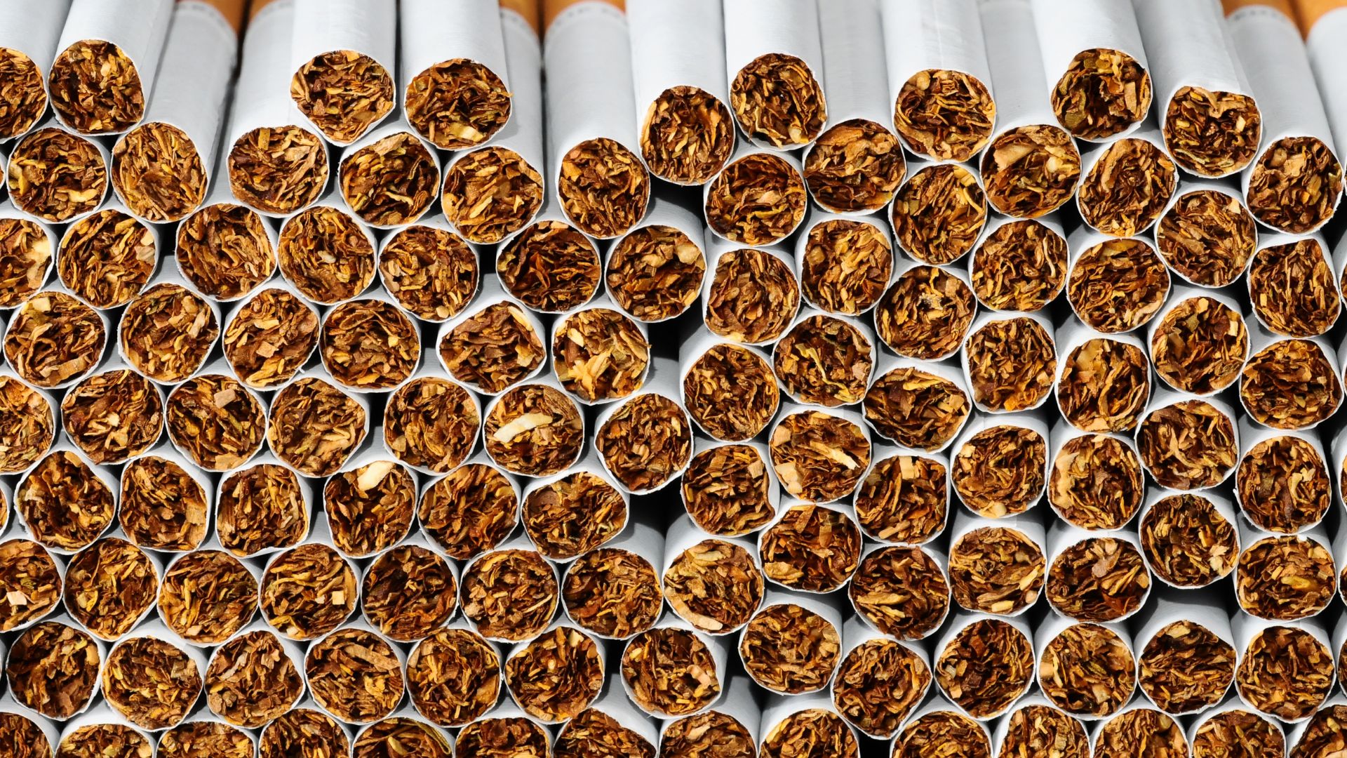 Fresh Cigarettes